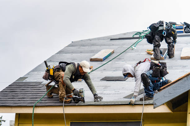 Professional Storm Damage Roof Repair technician working in Jamestown, TN